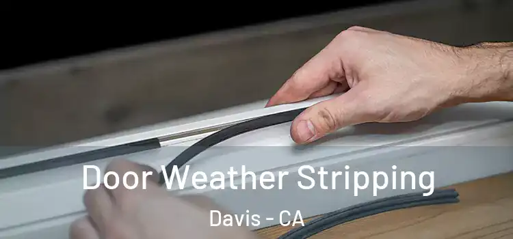  Door Weather Stripping Davis - CA