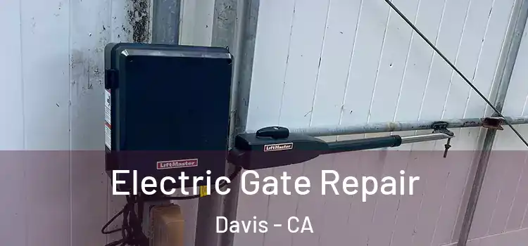  Electric Gate Repair Davis - CA