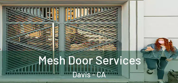 Mesh Door Services Davis - CA